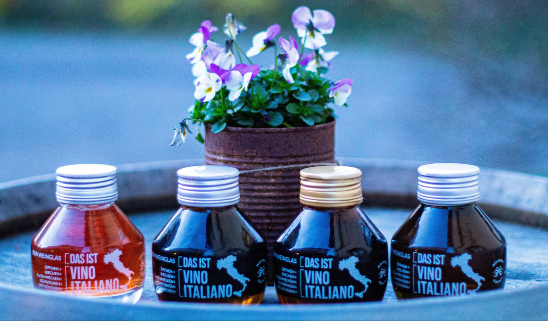The Four Wines Behind DIEVINO, Explained