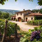 Sangiovese Rubicone IGT · 187 ml · Red · Signature Wine